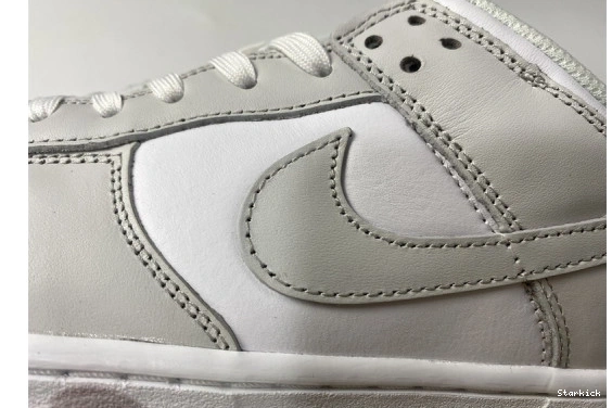 Dust" Nike Low DD1503-103 "Photon Dunk 1107